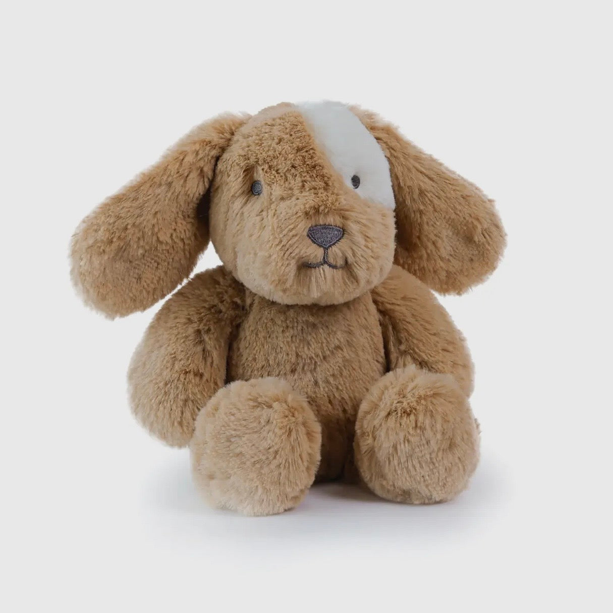 Little Duke Dog Stuffie 10"
