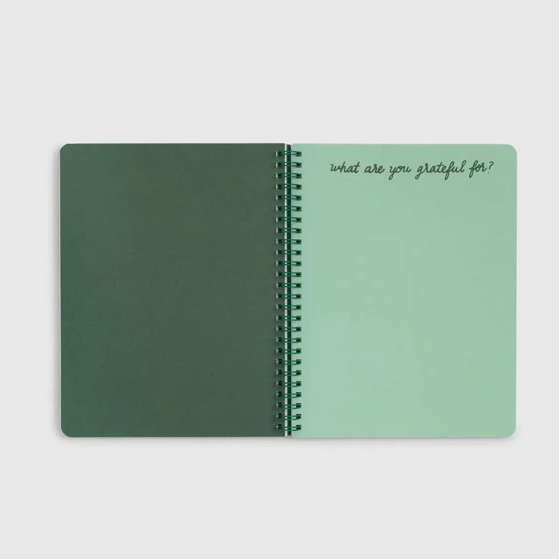 Rough Draft Mini Notebook Emerald Super Bloom